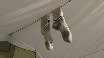 Image 5 of 10