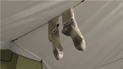 Image 6 of 9